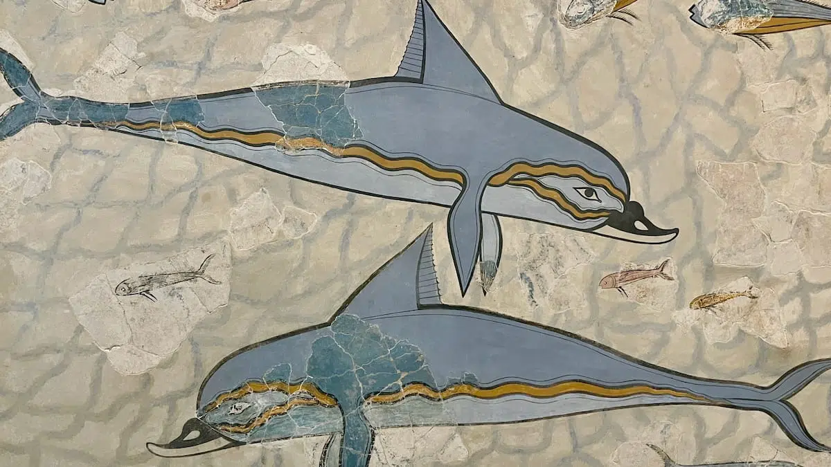 Dauphins Crete