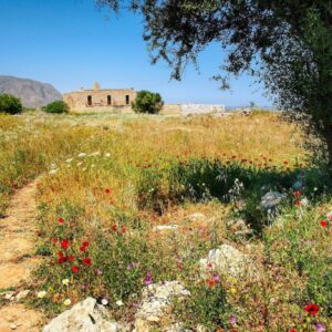 Région du Lassithi : explorez l’est de la Crète entre plateau du Lassithi, palais minoen de Malia, île de Spinalonga et villages authentiques.