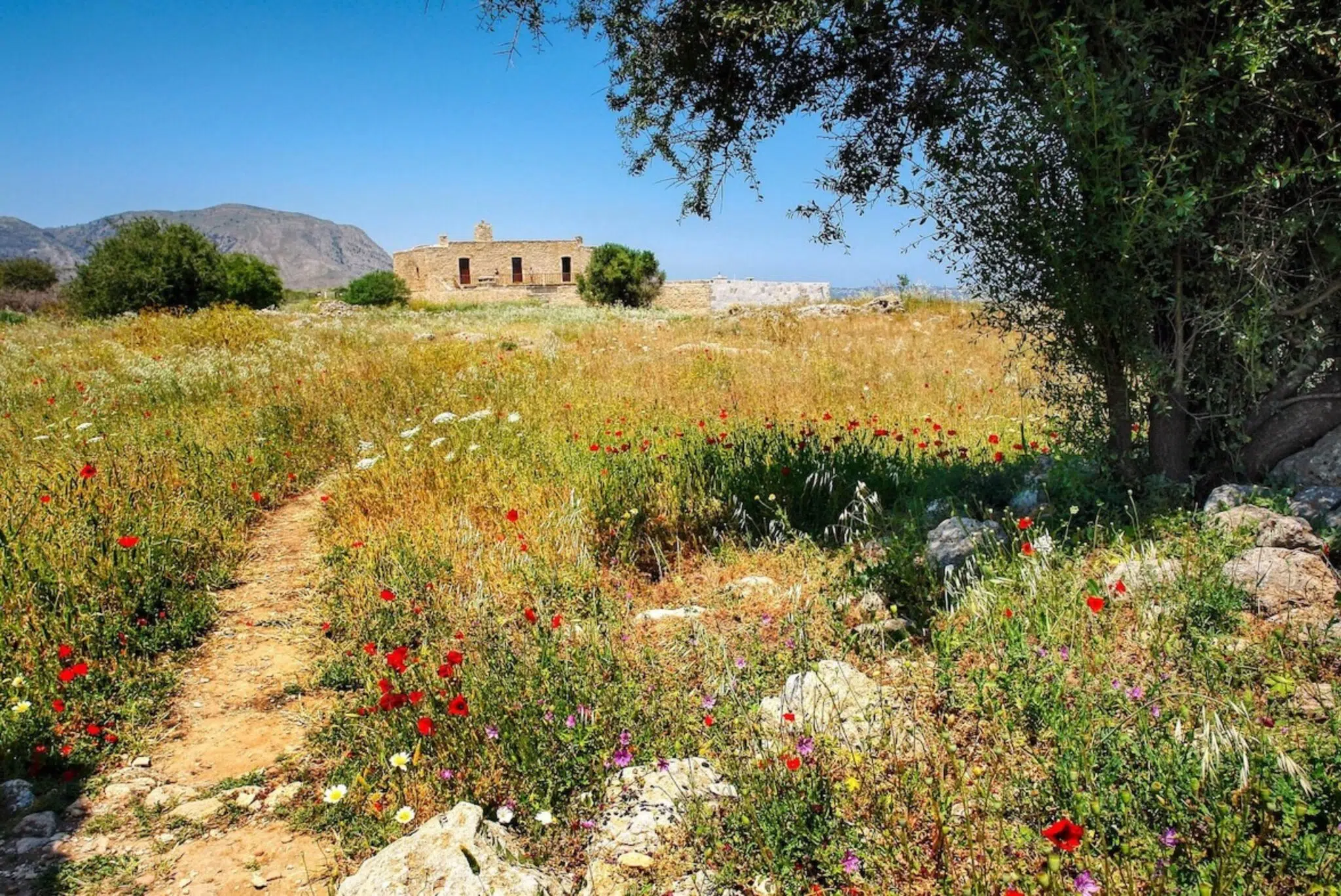 Région du Lassithi : explorez l’est de la Crète entre plateau du Lassithi, palais minoen de Malia, île de Spinalonga et villages authentiques.