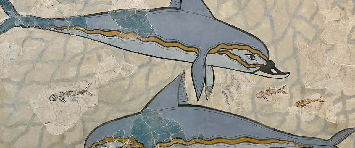 Dauphins Crete